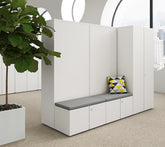 Hinged Door Wooden Cabinet